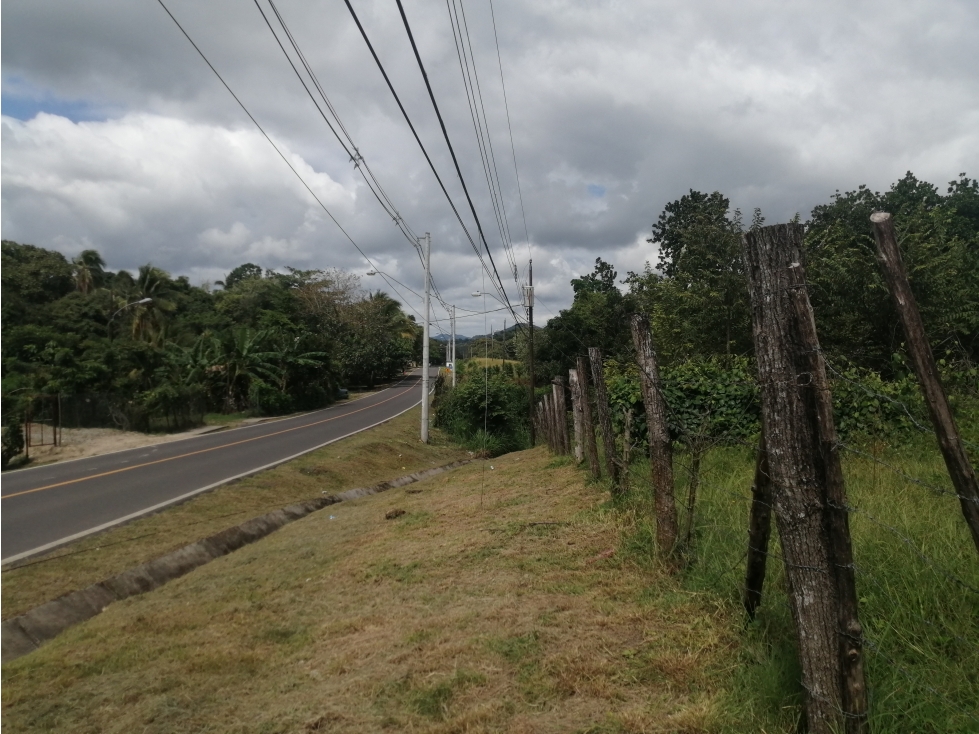 FINCA EL HATILLO, Chame, Panama Oeste - 3