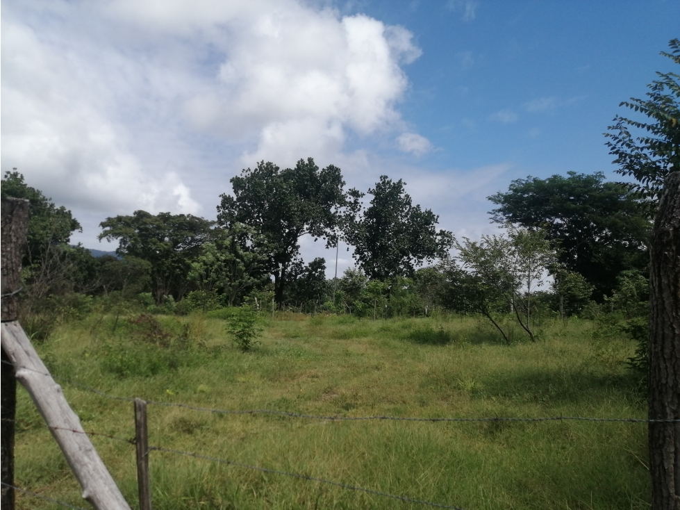 FINCA EL HATILLO, Chame, Panama Oeste - 4