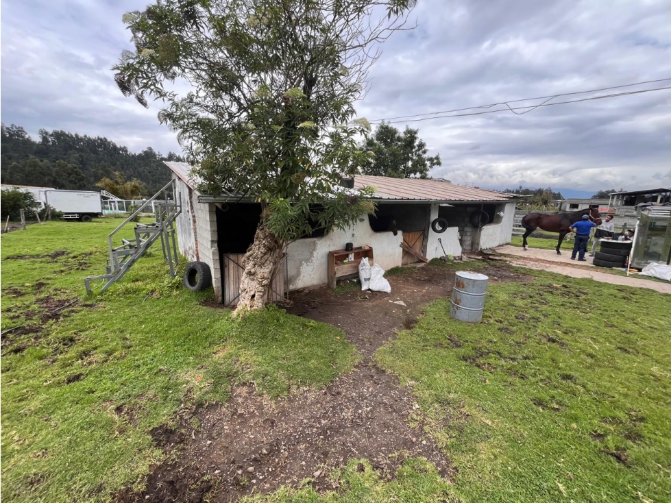 Terreno en Venta Sangolquí Selva Alegre 3.678 m2 — foto 6