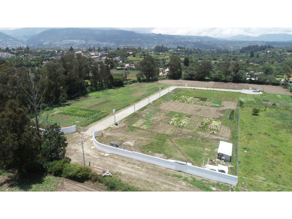 Venta Terreno PLANO Urb. Tumbaco 817 a 1.286 m2 — foto 5