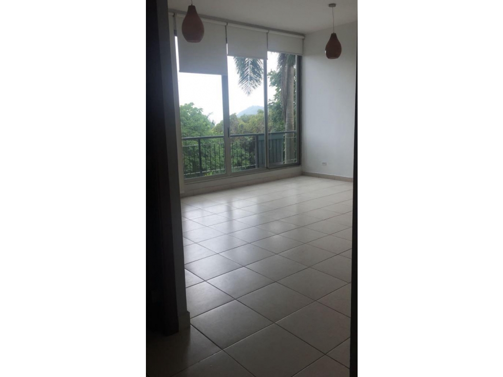 apartamento en cosway amador alquilo amplio fresco — foto 4