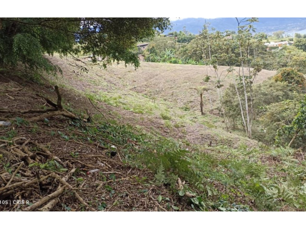 VENTA DE LOTE EN EL LAGO CALIMA - 3