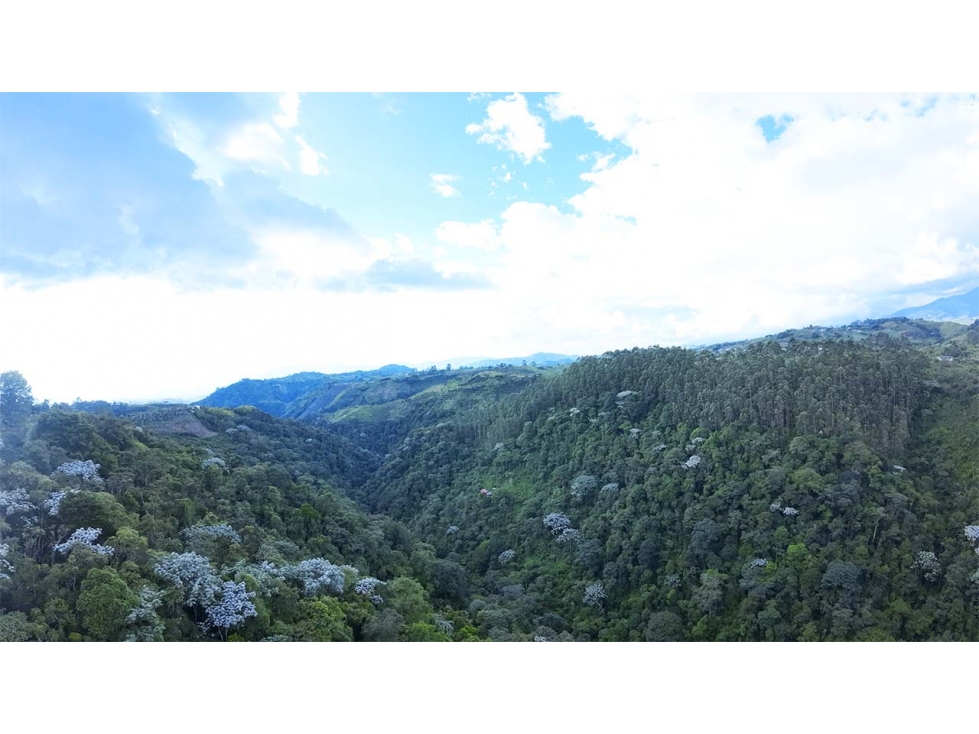 Venta de lote con vista en Vía Armenia, Pereira