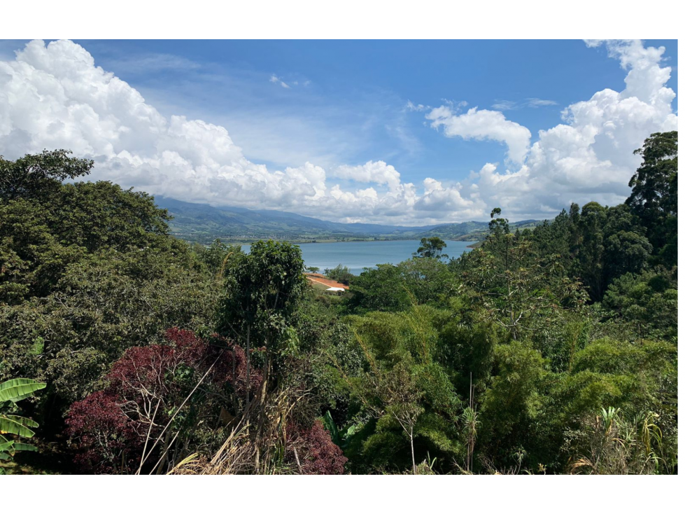 VENTA DE LOTE EN EL LAGO CALIMA - 1
