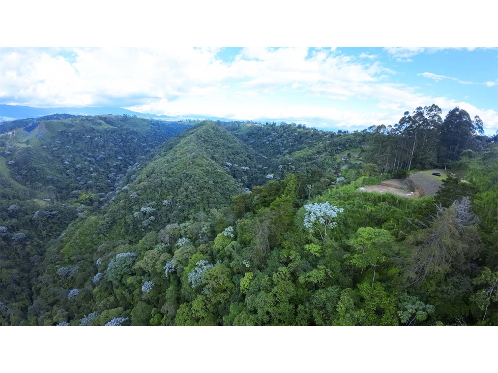 Venta de lote con vista en Vía Armenia, Pereira — foto 2