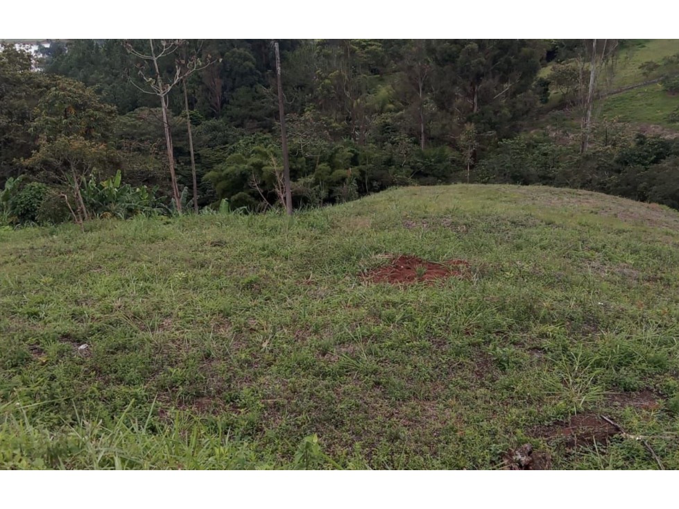 VENTA DE LOTE EN EL LAGO CALIMA - 4