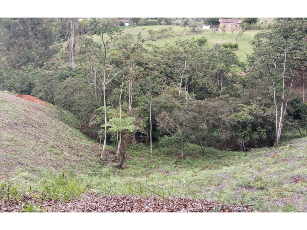 VENTA DE LOTE EN EL LAGO CALIMA - 5