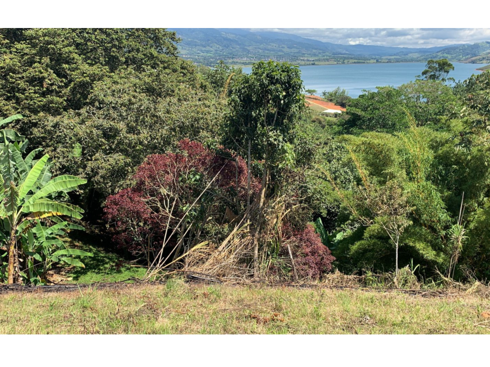 VENTA DE LOTE EN EL LAGO CALIMA - 6