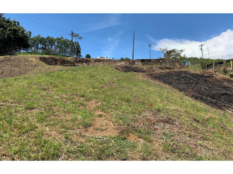 VENTA DE LOTE EN EL LAGO CALIMA - 2