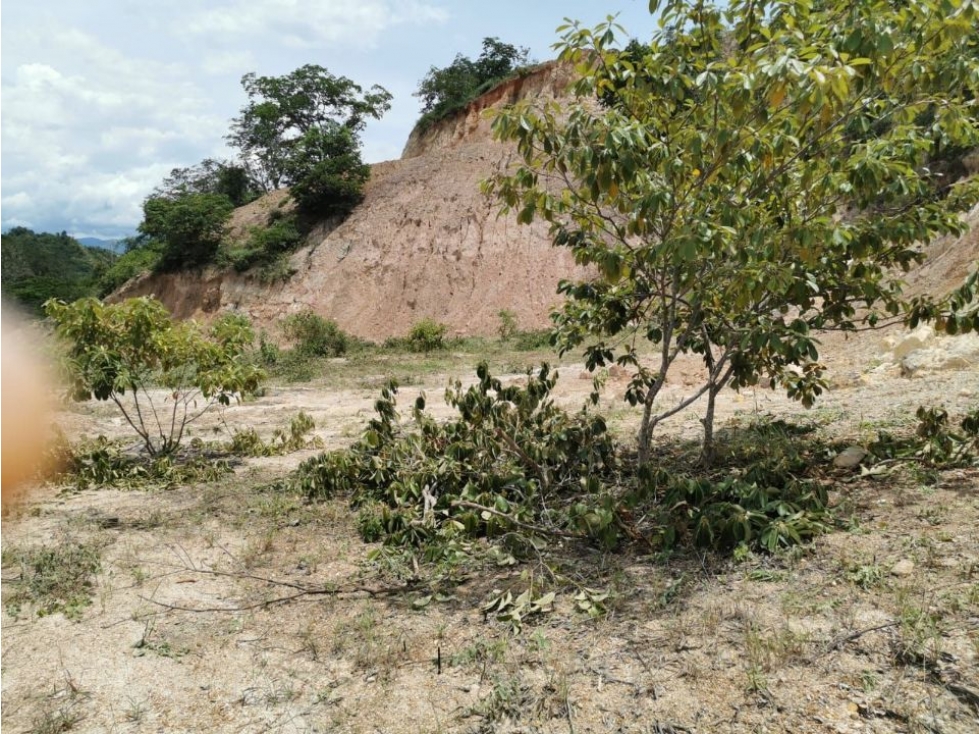 VENTA LOTE EN SOPETRAN, VEREDA EL SABANAZO — foto 2