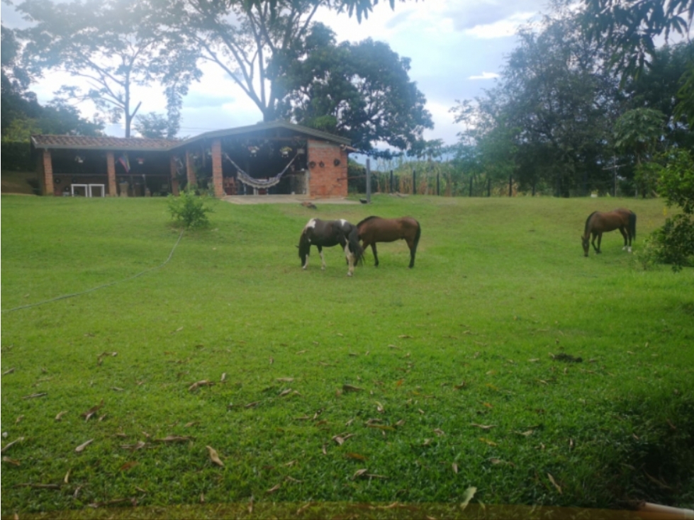 Se Vende Finca en Sopetrán, sector El Rodeo — foto 4