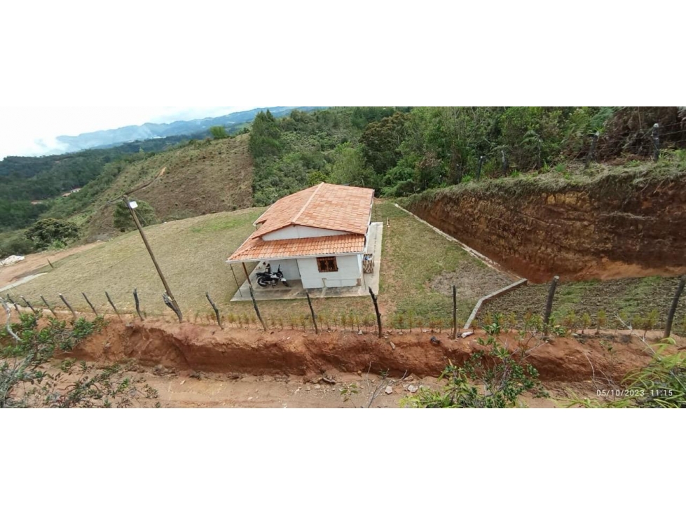 Se Vende Finca Productora de Aguacate Hass San Vicente Ferrer — foto 3