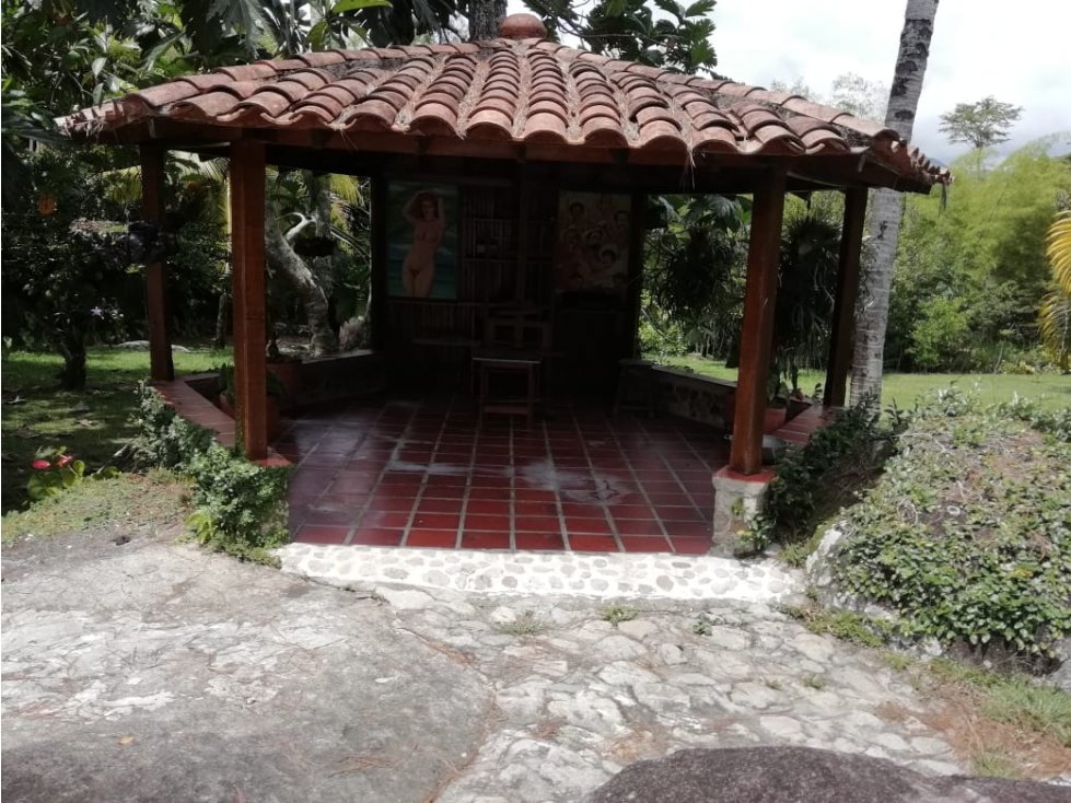 VENTA FINCA EN YOLOMBO VIA GOMEZ PLATA - 6