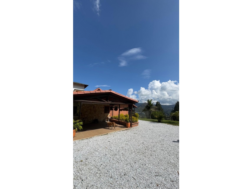 Finca Rionegro, Antioquia Vereda Santa Teresa - Se Vende — foto 5