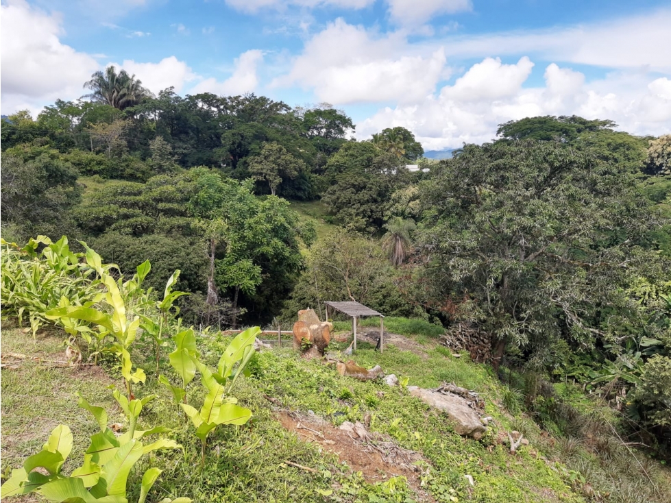 VENTA FINCA EN SAN JERONIMO, EL HATO — foto 4