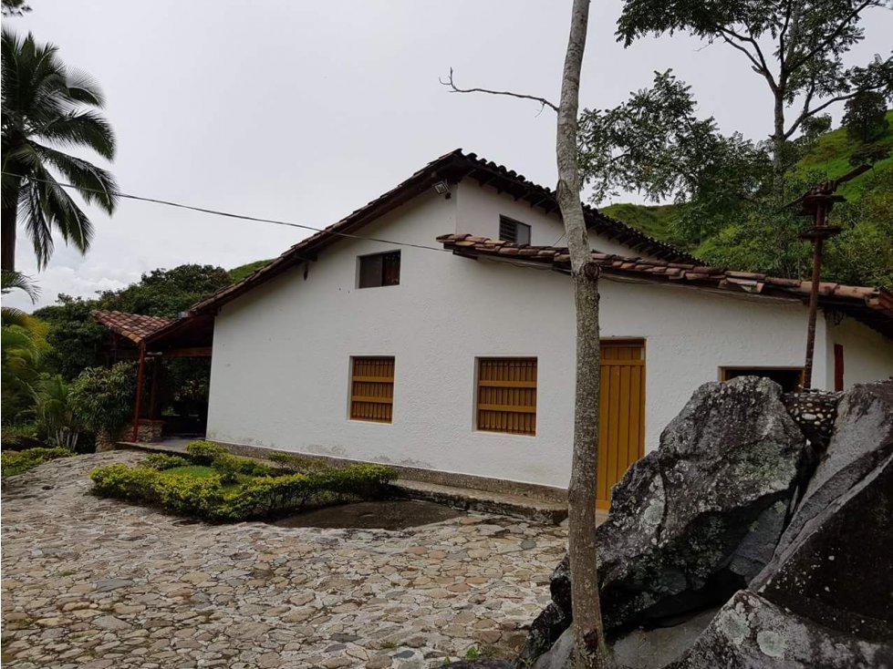 VENTA FINCA EN YOLOMBO VIA GOMEZ PLATA - 5