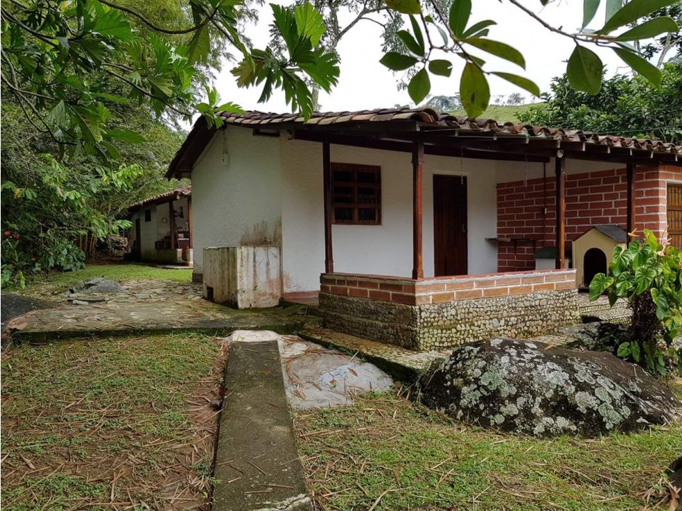 VENTA FINCA EN YOLOMBO VIA GOMEZ PLATA - 2