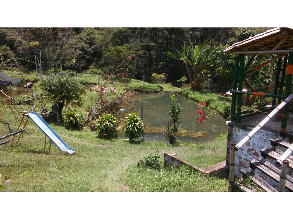VENTA FINCA EN GIRARDOTA, VEREDA LA HOLANDA (Lagos para truchas) — foto 4