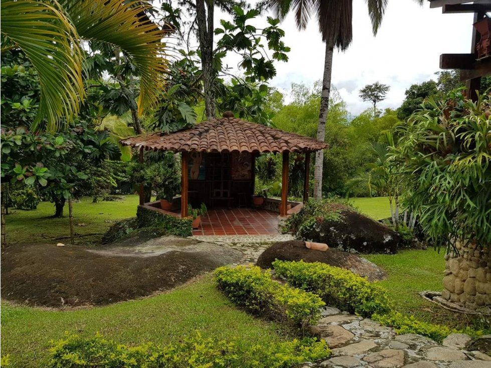 VENTA FINCA EN YOLOMBO VIA GOMEZ PLATA - 3