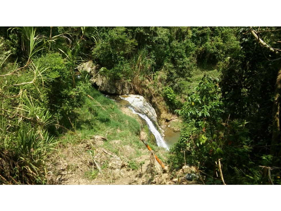VENTA FINCA EN GIRARDOTA, VEREDA LA HOLANDA (Lagos para truchas) — foto 5