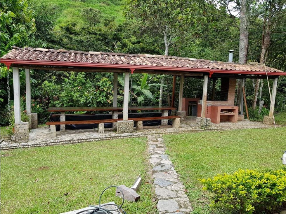 VENTA FINCA EN YOLOMBO VIA GOMEZ PLATA - 4