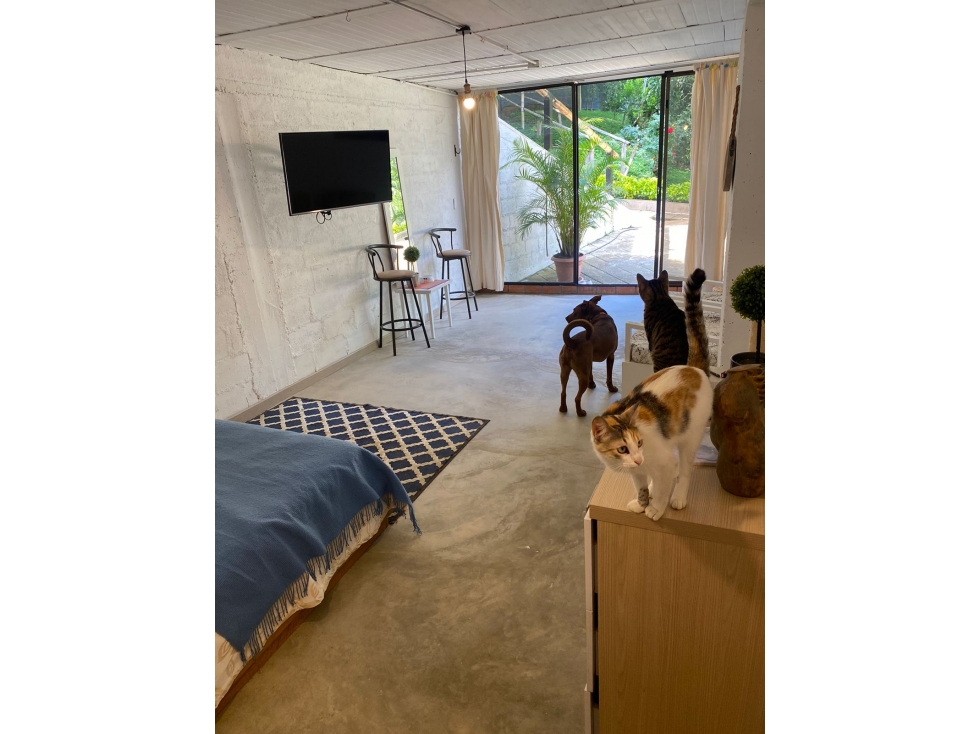 VENTA FINCA EN GIRARDOTA, VEREDA EL PARAISO — foto 3
