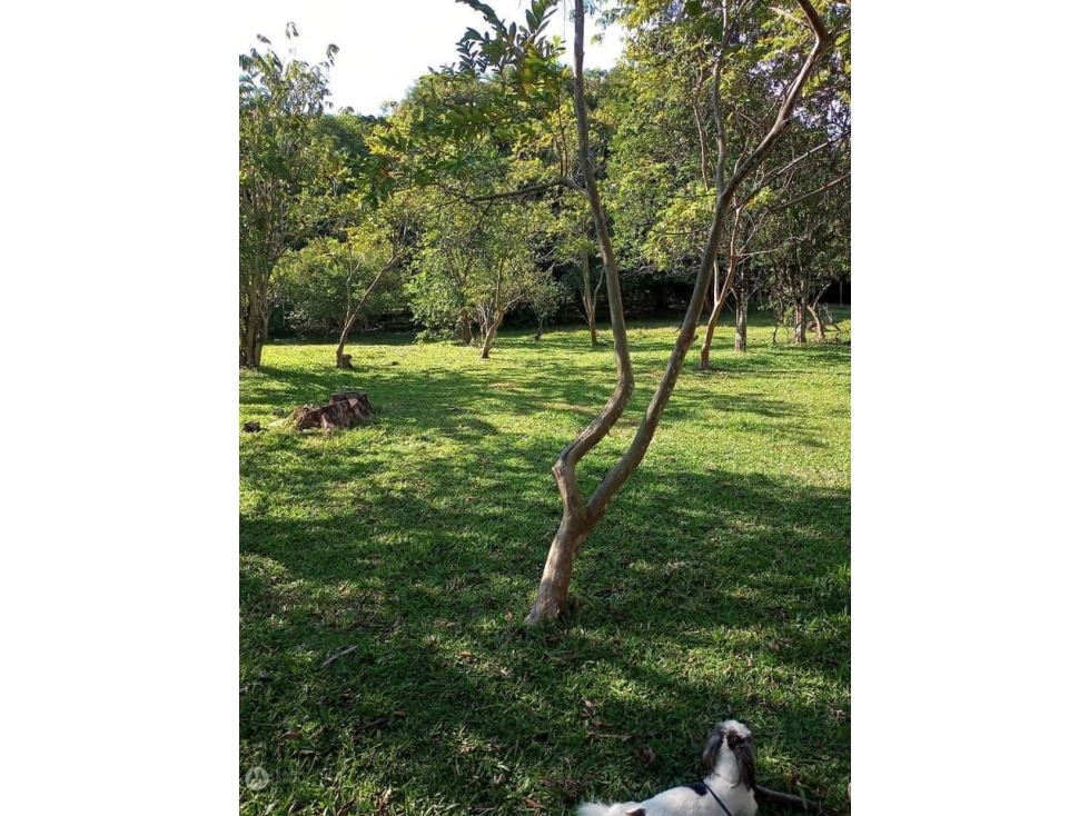 LOTE EN SOPETRAN, VEREDA EL RODEO. SE VENDE — foto 4