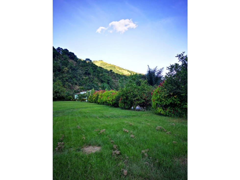Se Vende Finca Hotel en Montebello, Antioquia - 3