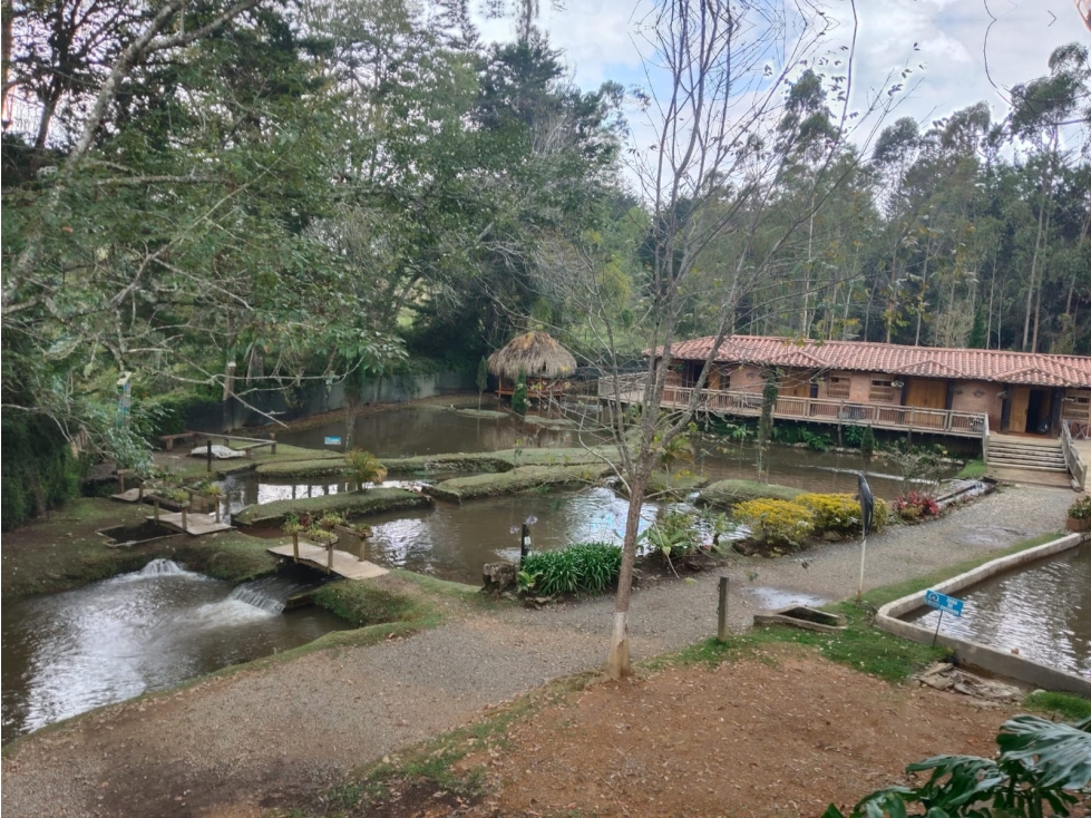 Finca Hotel y Truchera en Guarne con Glamping - Se Vende - 4