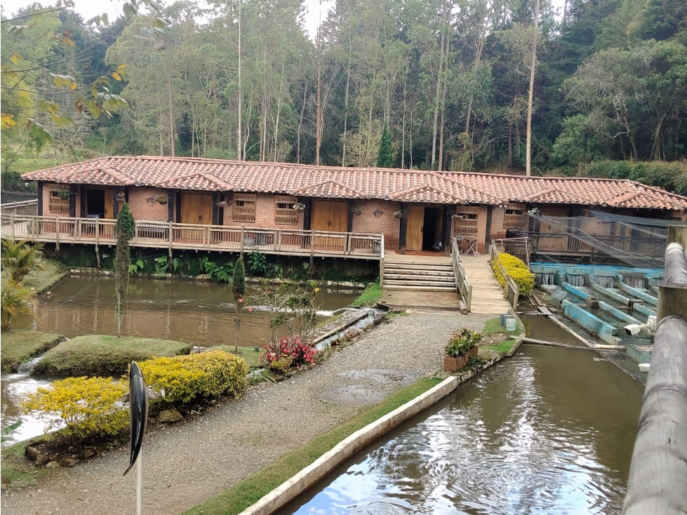 Finca Hotel y Truchera en Guarne con Glamping - Se Vende - 3