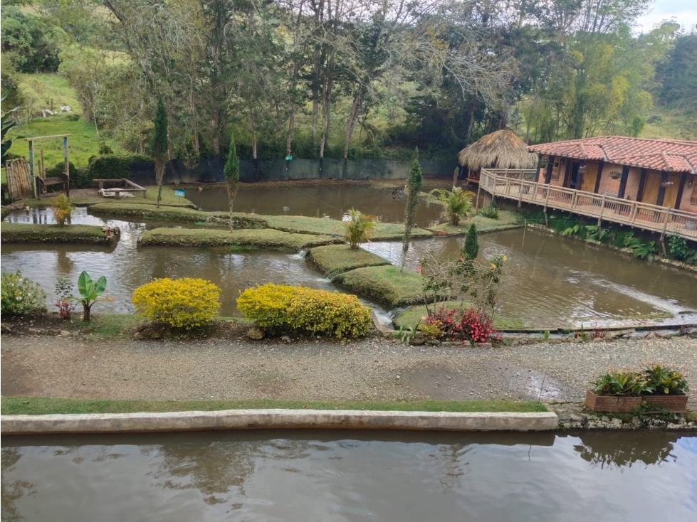 Finca Hotel y Truchera en Guarne con Glamping - Se Vende - 5