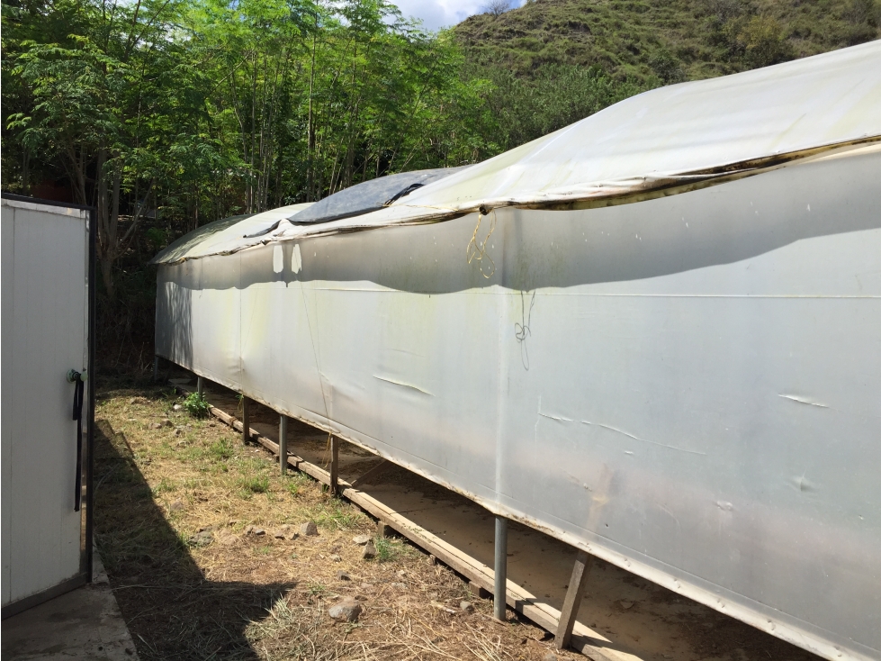 VENTA FINCA EN SANTA FE DE ANT. VEREDA EL TUNAL - 6