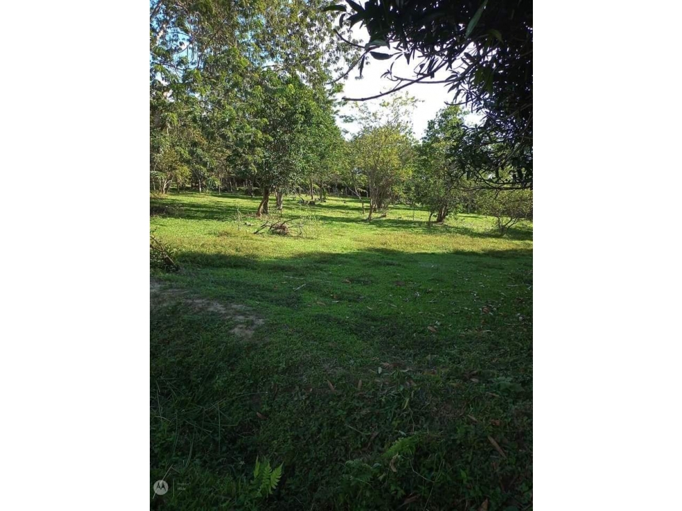 LOTE EN SOPETRAN, VEREDA EL RODEO. SE VENDE — foto 3