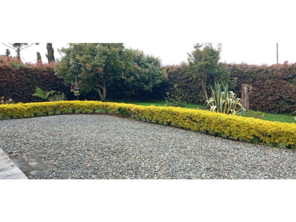 Se Vende Finca Vía San Pedro de Los Milagros, Sector La China — foto 5