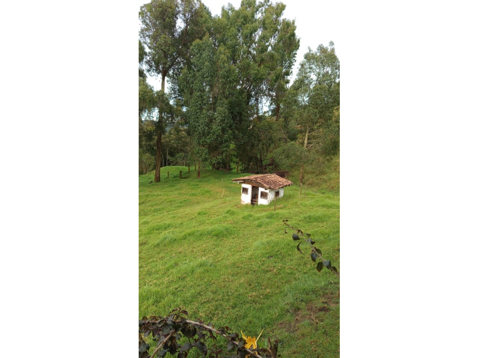Finca en venta San Pedro de los Milagros, Vereda Santa Bárbara — foto 4
