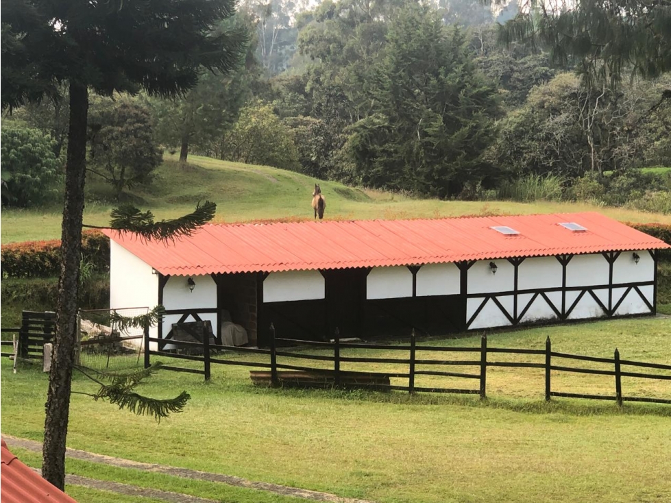 Finca en Venta, Corregimiento de San Félix, Antioquia — foto 2