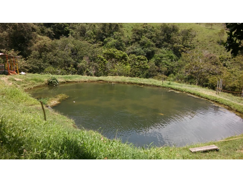 VENTA FINCA EN GIRARDOTA, VEREDA LA HOLANDA (Lagos para truchas)