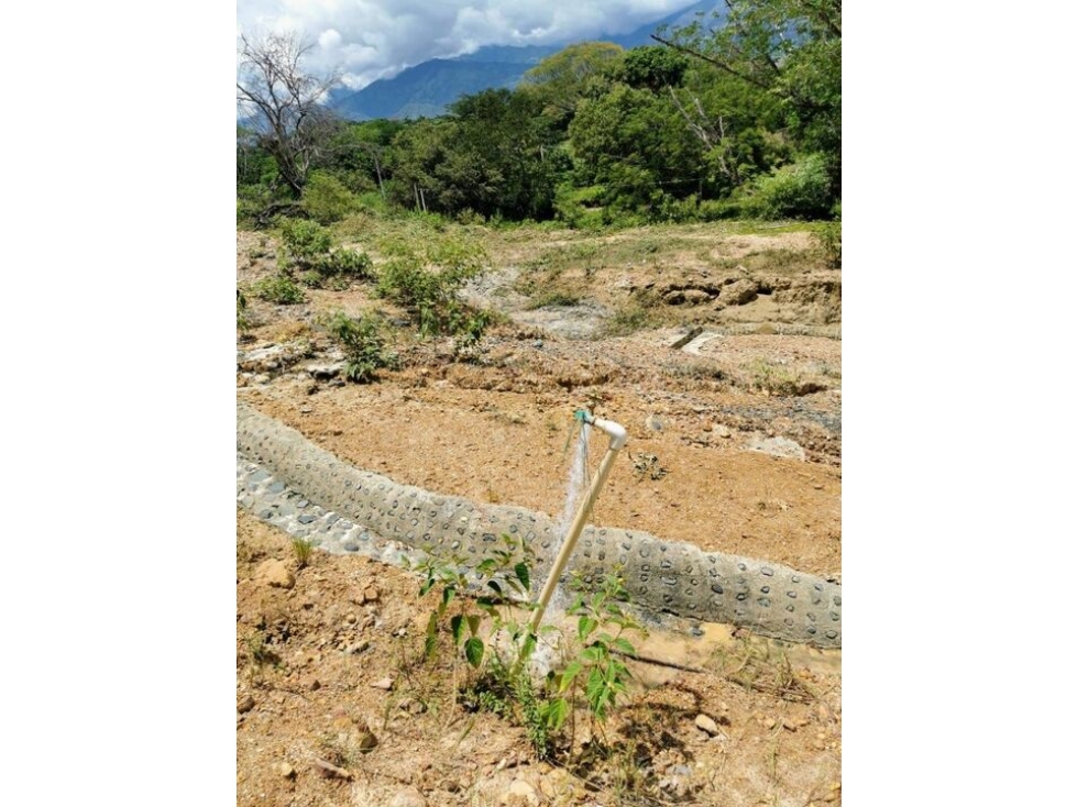VENTA LOTE EN SOPETRAN, VEREDA EL SABANAZO — foto 5
