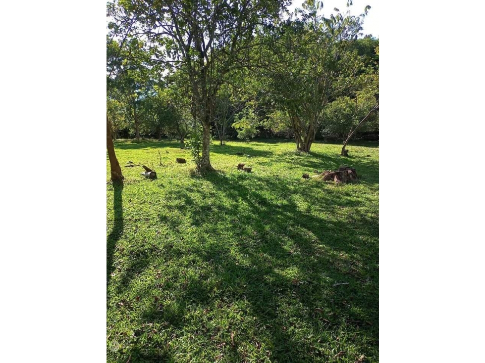 LOTE EN SOPETRAN, VEREDA EL RODEO. SE VENDE — foto 6