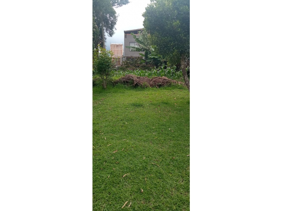 VENTA LOCAL COMERCIAL CON LOTE, EN EL CARMEN DE VIVORAL — foto 3