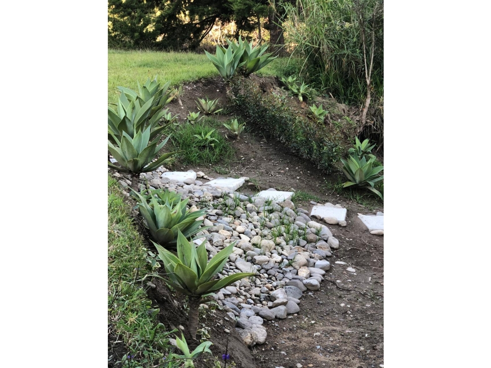 Finca en Venta, Corregimiento de San Félix, Antioquia — foto 4