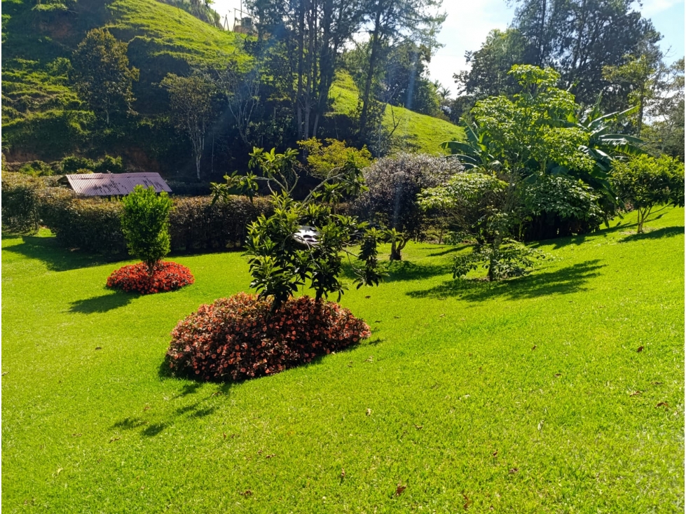 VENTA FINCA EN SANTUARIO, CERCA AUTOPISTA MEDELLIN-BOGOTA - 4