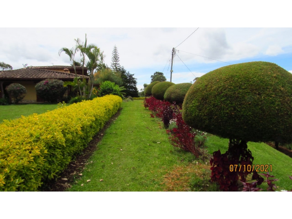 Se Vende Finca en Marinilla, Vereda El Rosario, Vía El Peñol — foto 3