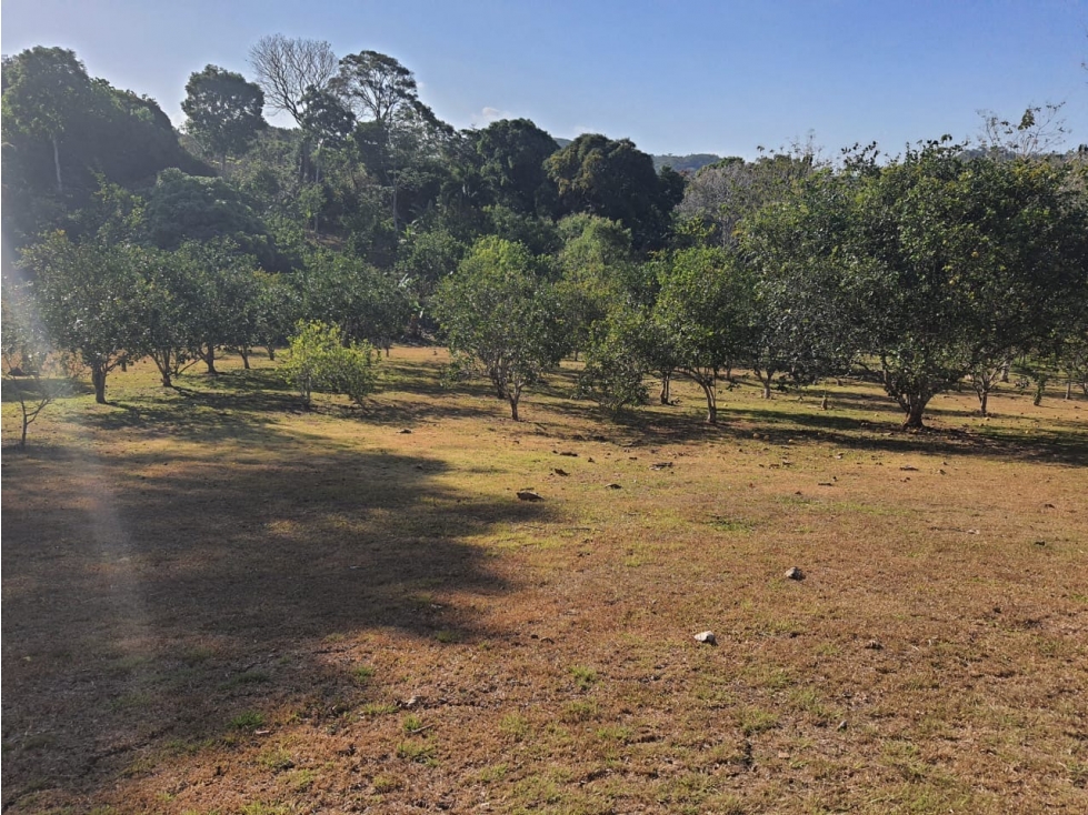vendo o alquilo una finca en cermeño de Capira — foto 6