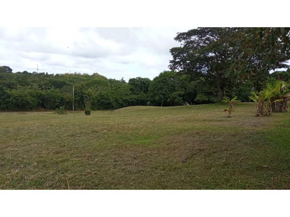 VENDO LOTES EN EL HIGO DE SAN CARLOS