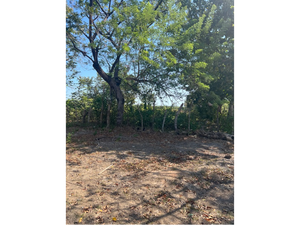 VENDO TERRENO RIO HATO SUR CARRETERA HACIA BUENAVENTURA - 6