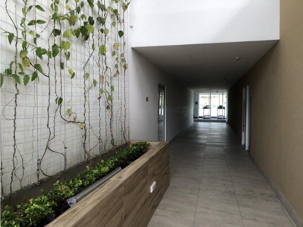 ALQUILO APARTAMENTO PH GREENWOOD ENTRADA DEL BOSQUE — foto 4
