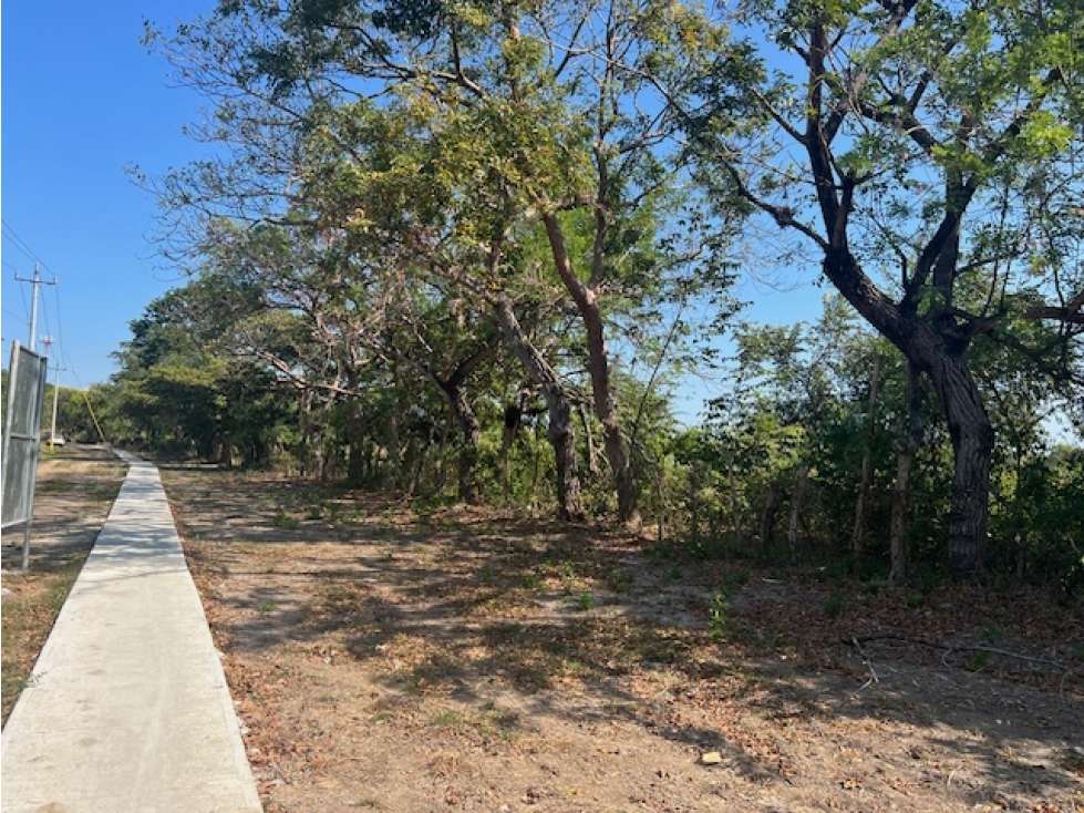 VENDO TERRENO RIO HATO SUR CARRETERA HACIA BUENAVENTURA - 1