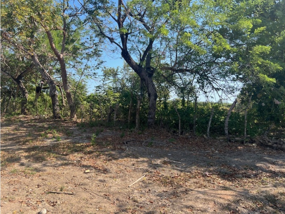 VENDO TERRENO RIO HATO SUR CARRETERA HACIA BUENAVENTURA - 2