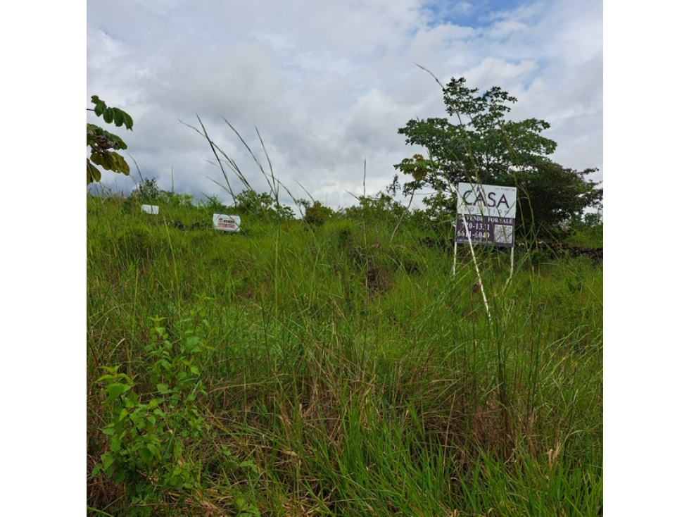 SE VENDE LOTE DE TERRENO VIA PRINCIPAL DE BOQUETE EL FRANCES — foto 3